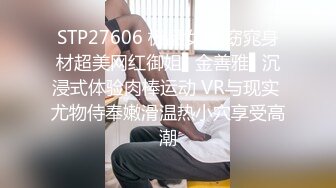 网调小母狗2号