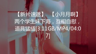 4/24最新 公务员上班执行秘密公务和美女同事办公室偷情用笔插BVIP1196