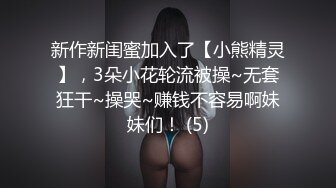 雀儿满天飞-2020-2-18-12