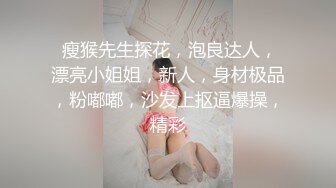 同居蕾丝～和出租女友的甜蜜生活