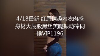 4/18最新 红唇情趣内衣肉感身材大屁股黑丝美腿振动棒伺候VIP1196