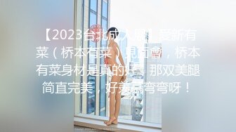 欧洲Kink站fuckedandbound捆绑狠肏系列2013年上半年作品合集【25V】 (15)