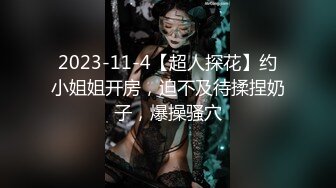 珠三角颜值御姐母狗【卡卡】VIP福利合集 (2