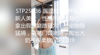 蜜桃影像传媒 PME131 女房客被迫服侍房东 林思妤