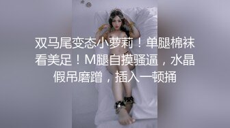 麻豆傳媒 MCY0165 強上我的美豔房東 舒可芯