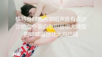 小夫妻黑丝女仆装妊娠实录