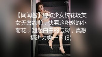 推特大神YQ_K丰满骚妻情趣用品店购买情趣内衣 让老板帮忙用自慰棒捅小穴 对白很是淫荡