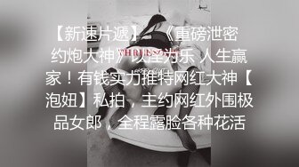 情欲协奏曲第二乐章