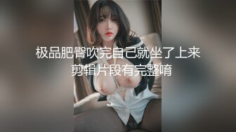 猎奇最美TS紫菀合集系列9