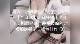 欧美吊垂巨乳Katy Hartlova合集【119V】 (31)