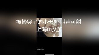 被操哭了的小母狗 叫声可射 上海m女加