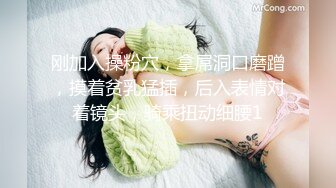 STP31646 天美传媒 TML022 新人业务的肉体对决 斑斑 VIP0600