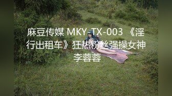 麻豆传媒 MKY-TX-003 《淫行出租车》狂热粉丝强操女神 李蓉蓉