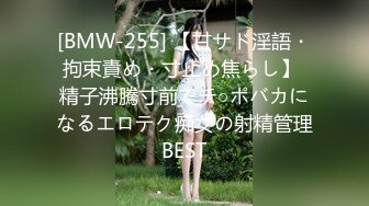 [BMW-255] 【甘サド淫語・拘束責め・寸止め焦らし】 精子沸騰寸前でチ○ポバカになるエロテク痴女の射精管理BEST