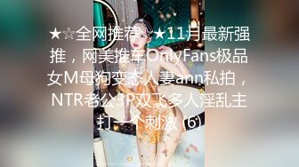 搽搽 NO.06 女仆黑丝