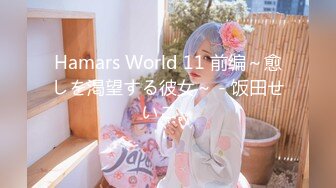 Hamars World 11 前编～愈しを渇望する彼女～ - 饭田せいこ。