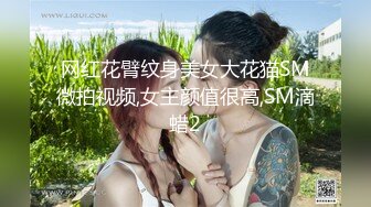 网红花臂纹身美女大花猫SM微拍视频,女主颜值很高,SM滴蜡2