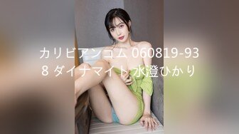 カリビアンコム 060819-938 ダイナマイト 水澄ひかり