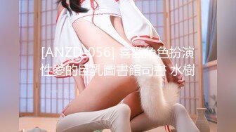 [ANZD-056] 喜歡角色扮演性愛的巨乳圖書館司書 水樹