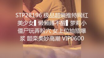 STP28448 模特身材翘臀美腿小姐姐！性感连体黑网袜！振动棒磨蹭肥穴，翘屁股极度诱惑，从后面震动小穴